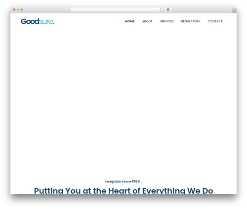 Auditing WordPress theme - goodsure.co.za