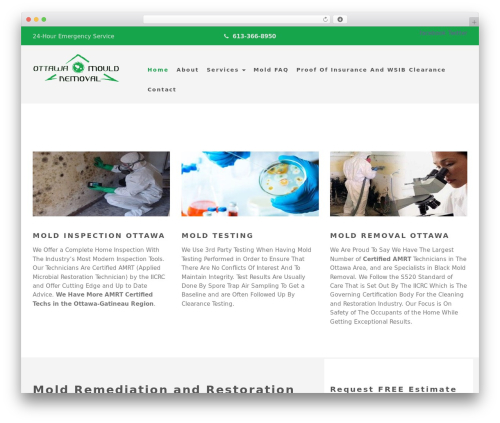 ManiaFramework WordPress theme - mold-removal-ottawa.com