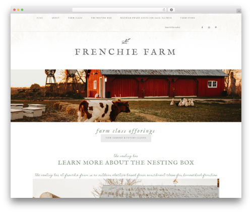 WP theme Market Theme - thefrenchiefarm.com