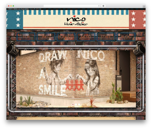 Doc_wp4cusom WordPress plugin - nicohairatelier.com