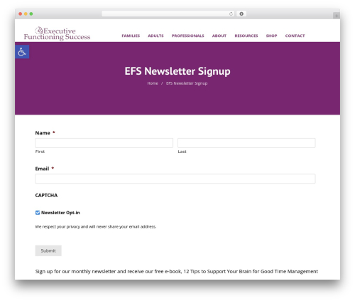 Support custom WordPress plugin - executivefunctioningsuccess.com/newsletter