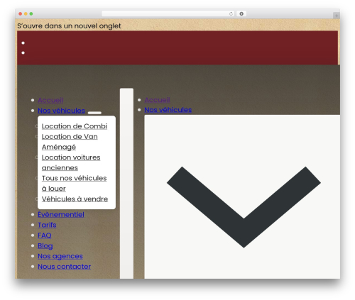 Wp grid builder bricks WordPress plugin - www.vintage-camper.com