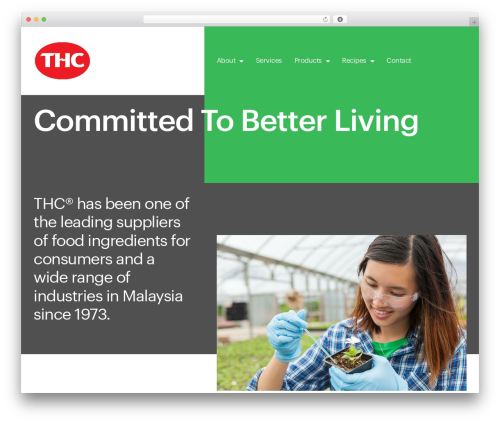 Hello Elementor free WordPress theme - thc.com.my