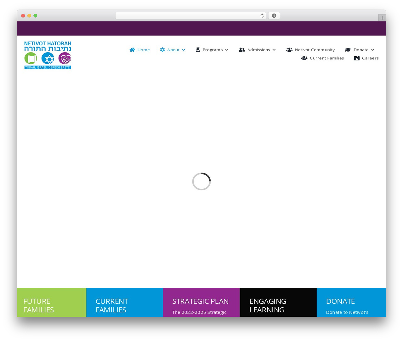 NETIVOT CHILD THEME WordPress theme - netivot.com NETIVOT CHILD THEME WordPress theme - netivot.com