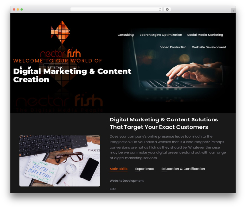 Trydo core WordPress plugin - nectarfish.com