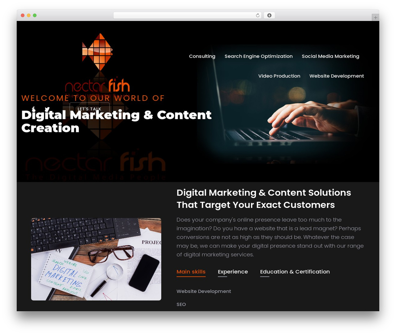 Trydo WordPress theme - nectarfish.com Trydo WordPress theme - nectarfish.com