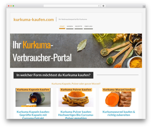 WEN Business Pro WordPress website template - kurkuma-kaufen.com