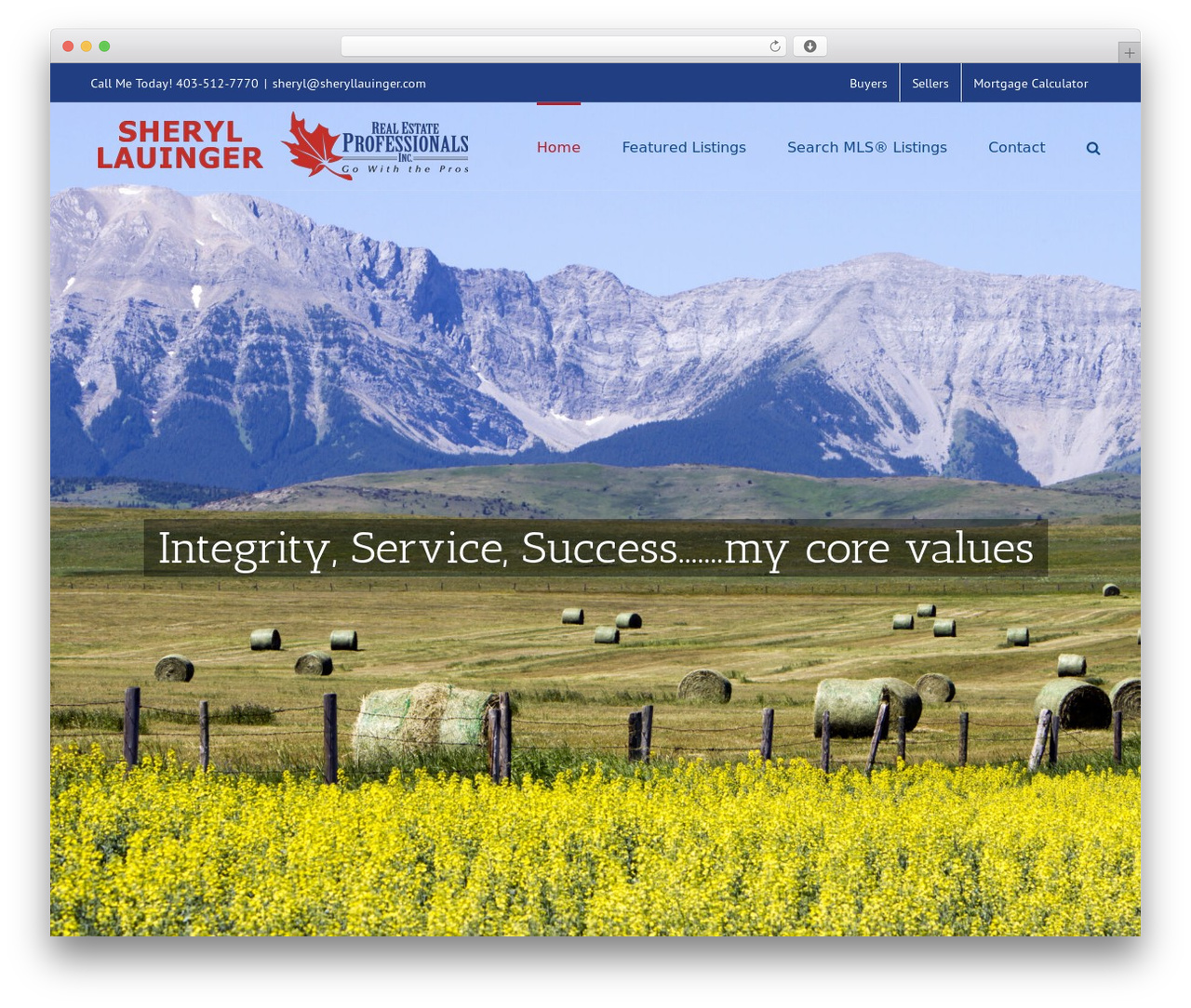 WordPress theme Avada - sheryllauinger.com