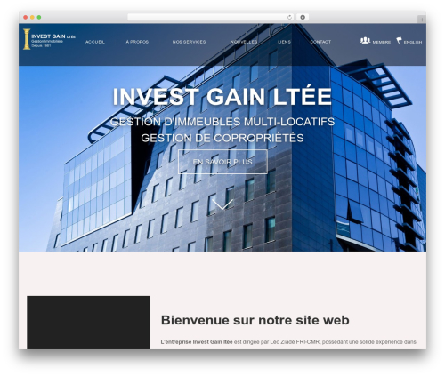 WordPress theme Max - investgain.com