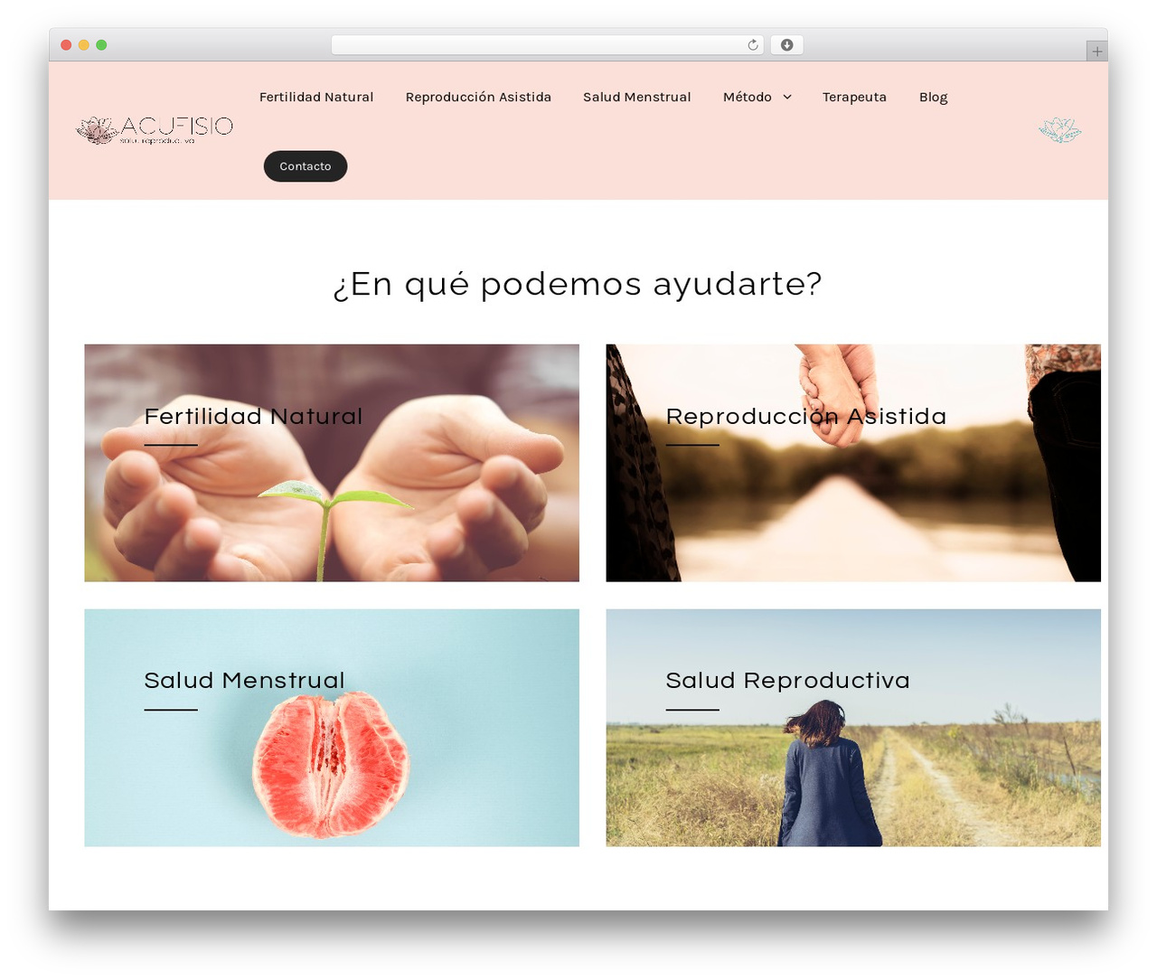 Fortun theme WordPress - fertilidadacupuntura.com
