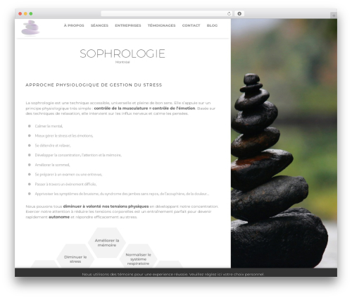 Generic top WordPress theme - claudinesouchon.com