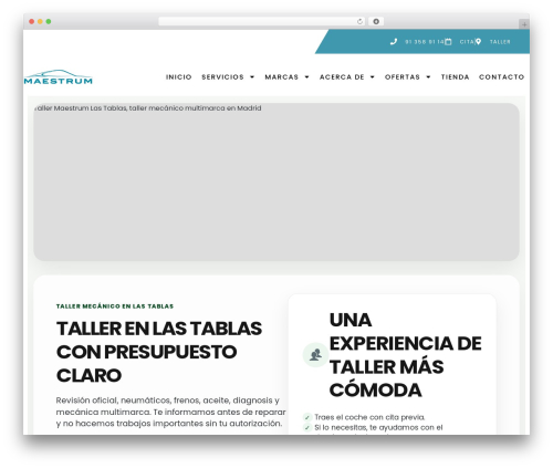 macchina WordPress website theme - talleresmaestrum.com