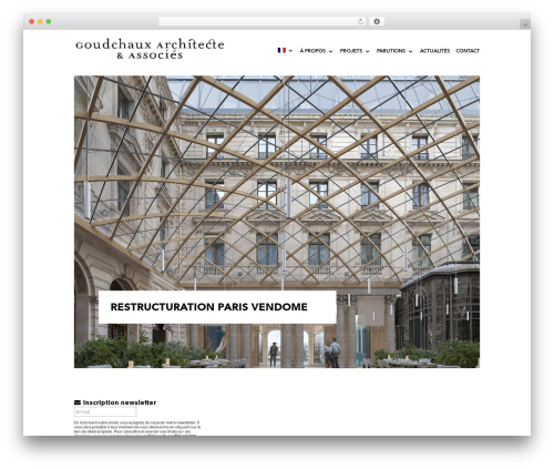 WordPress theme Divi - goudchaux.com