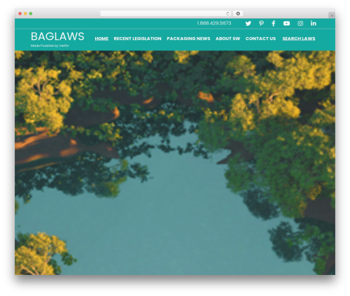 Mapsvg WordPress plugin - baglaws.com