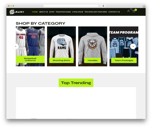 Best WordPress theme Natsy - aukisport.com