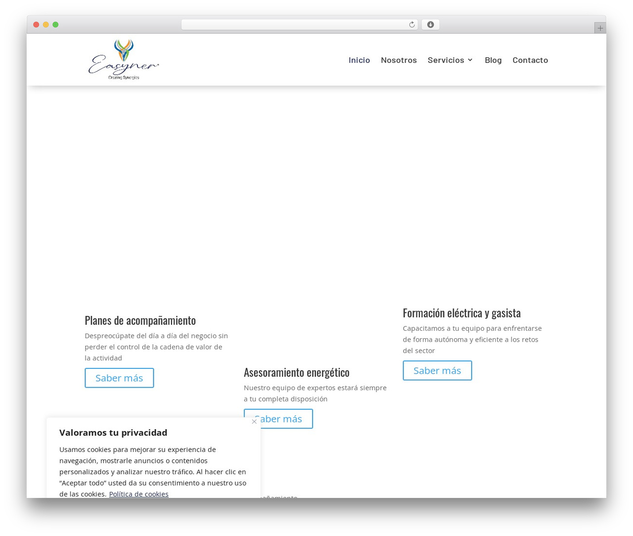 Divi theme WordPress - easyner.com