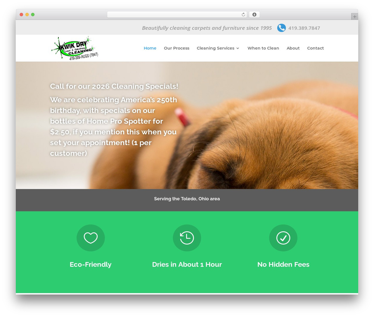 Divi WordPress theme - kwikdrycarpet.com