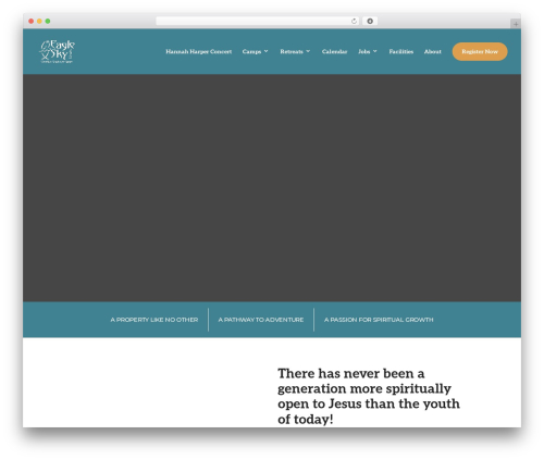 Divi WordPress theme - eaglesky.com