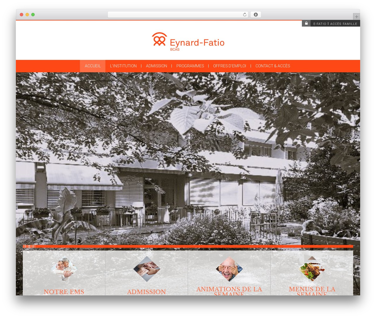 ems theme WordPress - ems-eynardfatio.ch