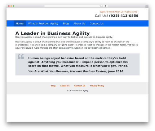 Elementorpro WordPress plugin - reactionagility.com