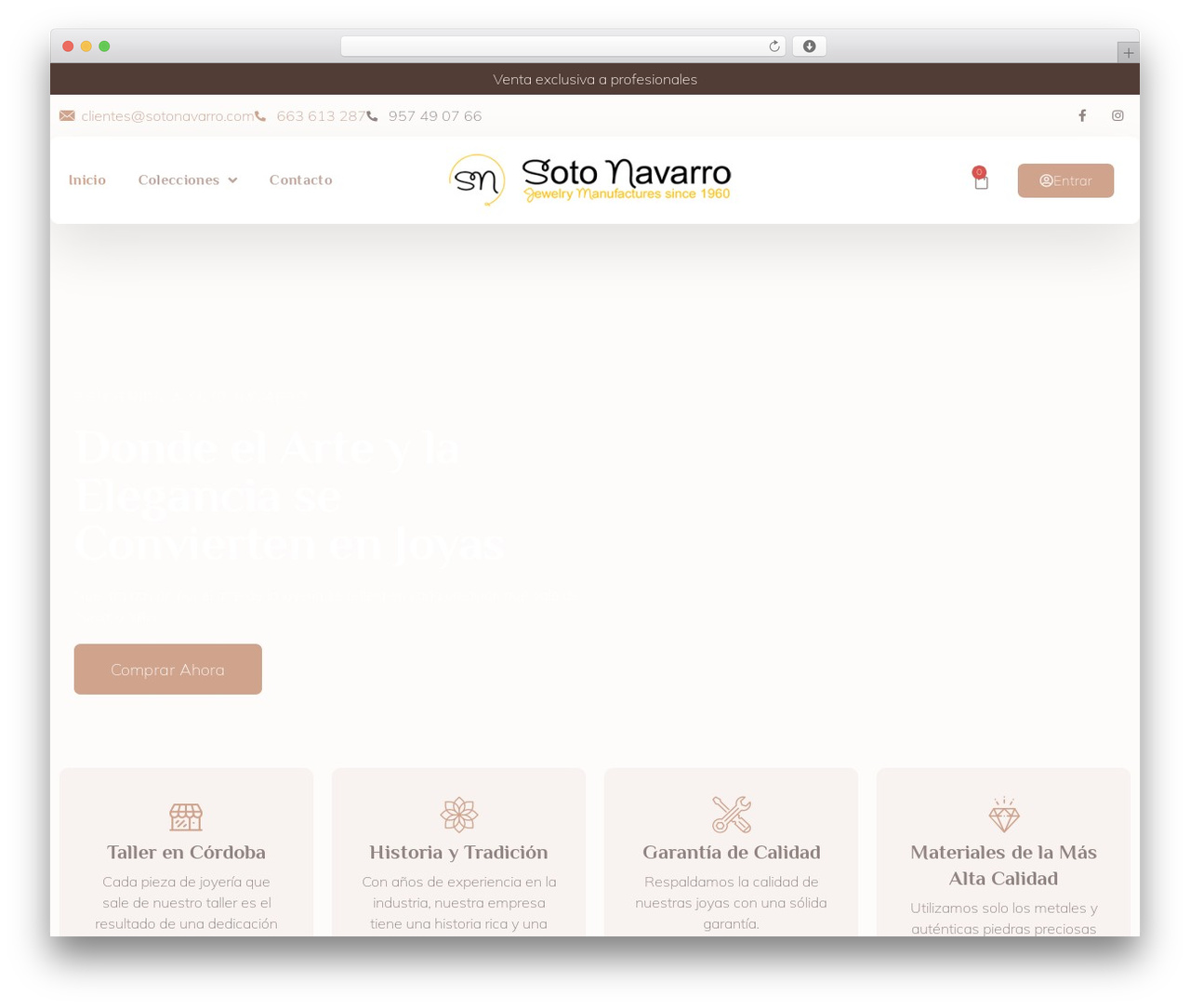 Hello Elementor WordPress theme - sotonavarro.com