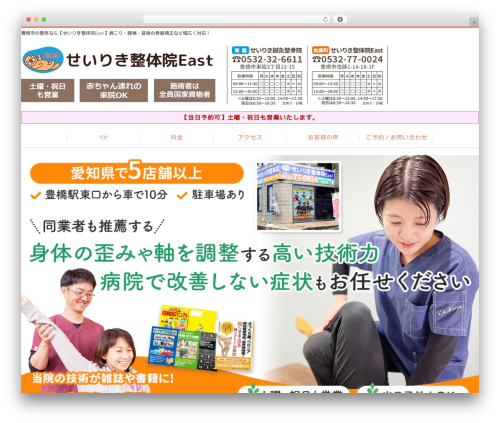 Selfull theme WordPress - seiriki-seikotsu.com