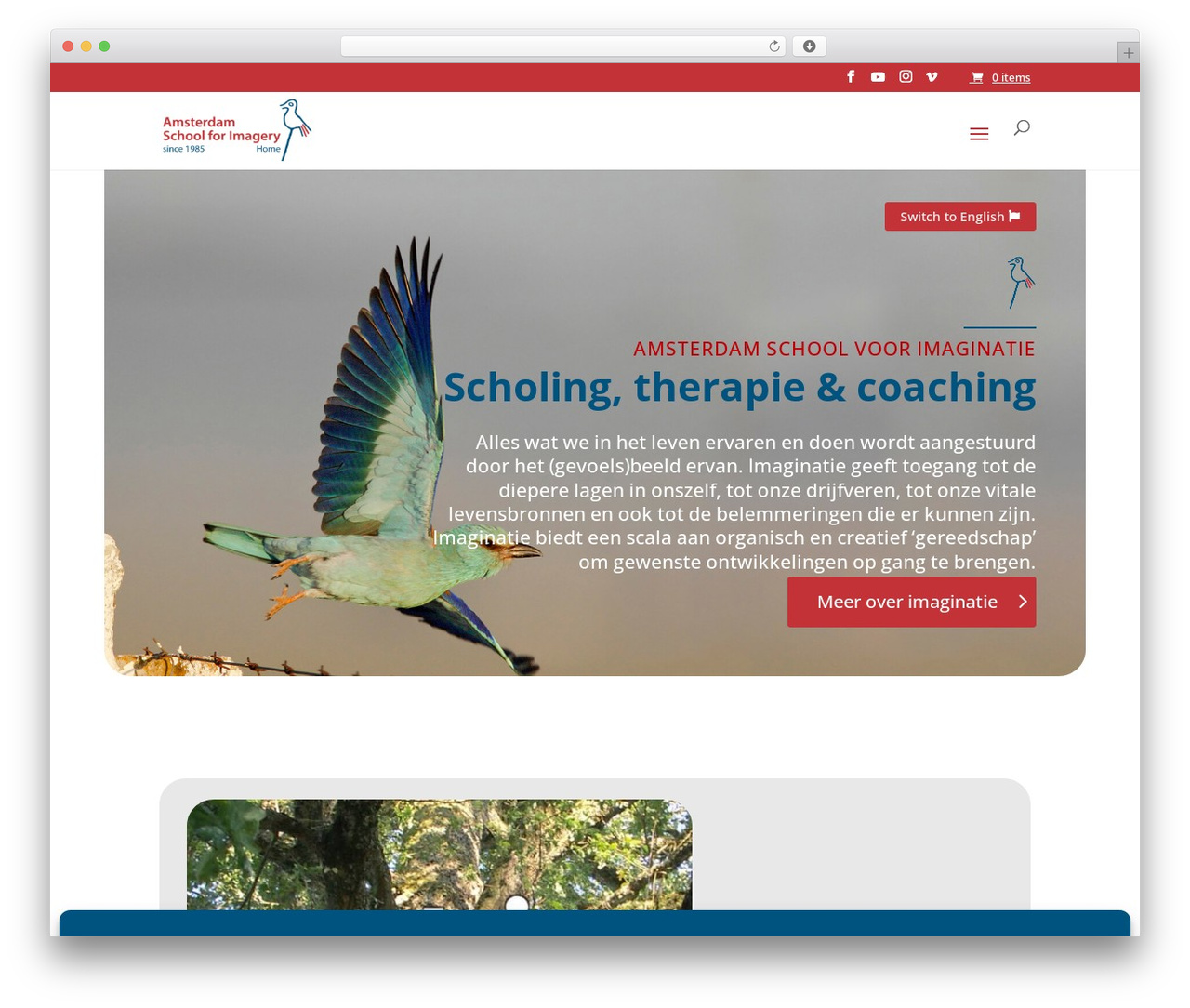 WordPress theme Divi - imaginatie.nl WordPress theme Divi - imaginatie.nl
