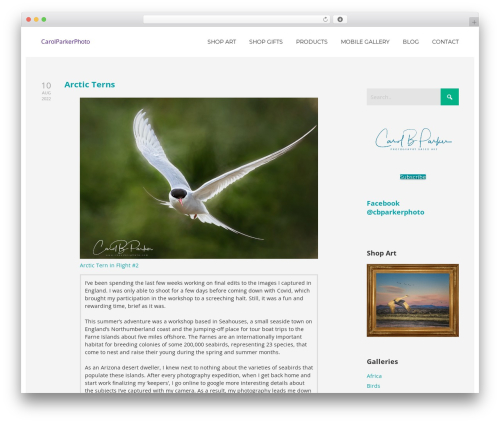 Print my blog pro WordPress plugin - carolparkerphoto.com