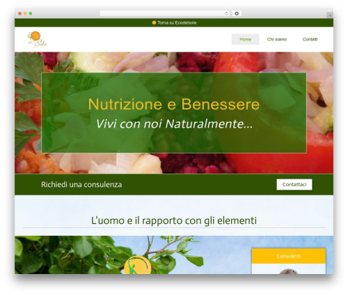 Ecodelsolecom WordPress theme - ecodelsole.com