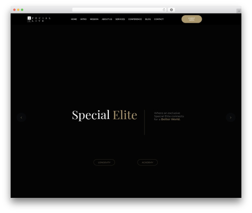 Revslider_to_install WordPress plugin - specialelite.net