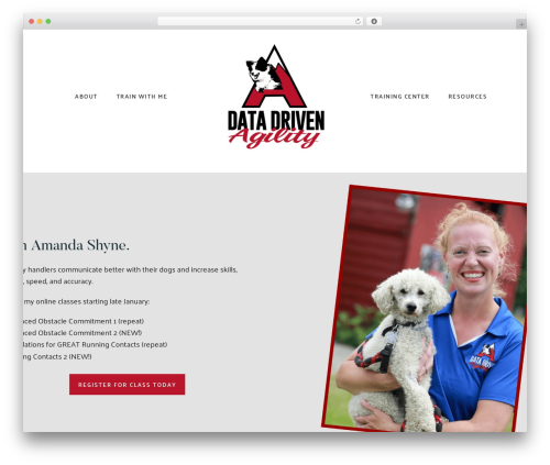 WordPress theme Coaching Plus - datadrivenagility.com