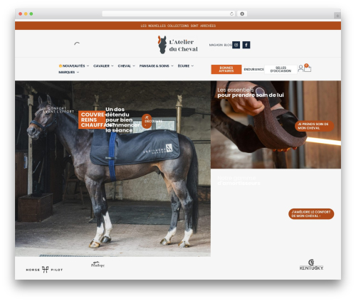 Woocommerce_pledgbysofinco_latest WordPress plugin - atelierducheval.com
