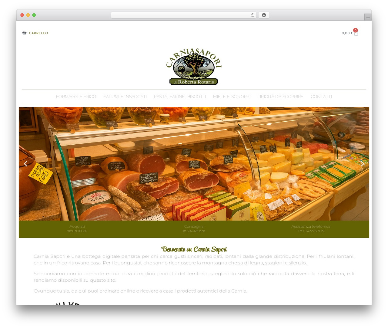Hello Elementor WordPress theme - carniasapori.it