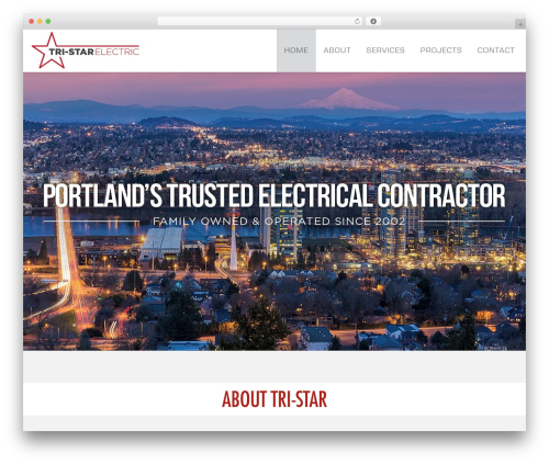 Roots Framework theme WordPress - tri-starelectric.com