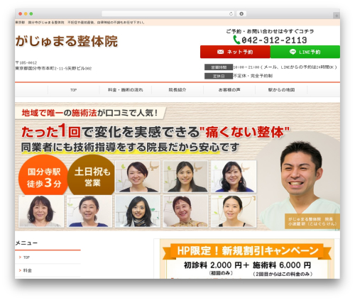 Theme WordPress Selfull - kokubunjigaju.com