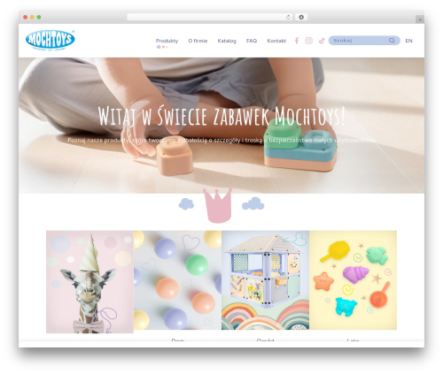 WordPress theme Leonardo - mochtoys.com