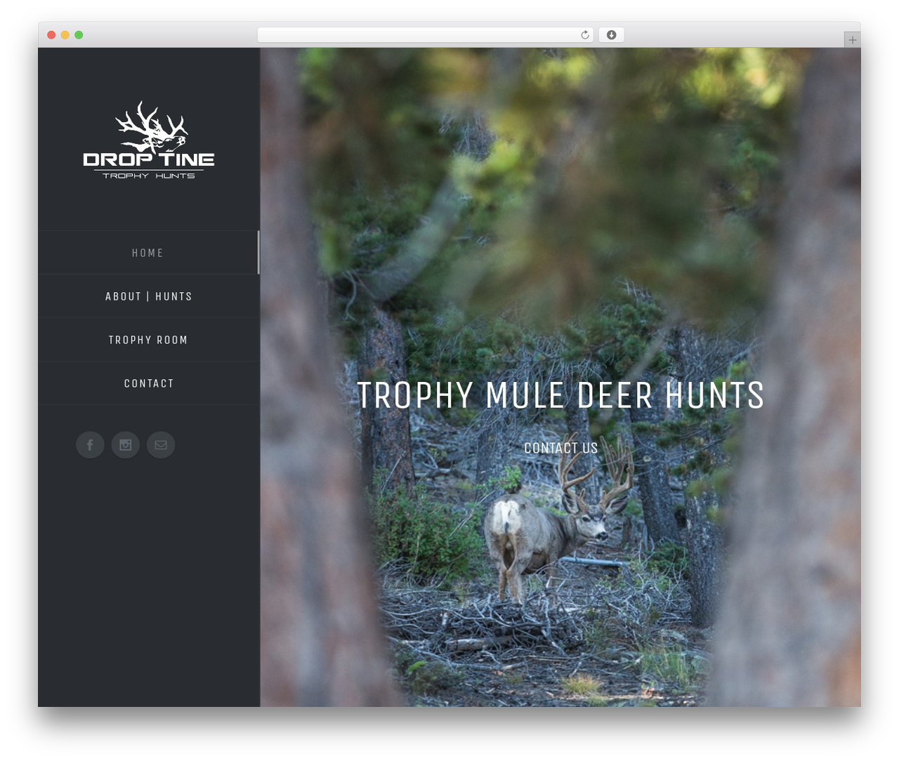 Theme WordPress Avada - droptinetrophyhunts.com