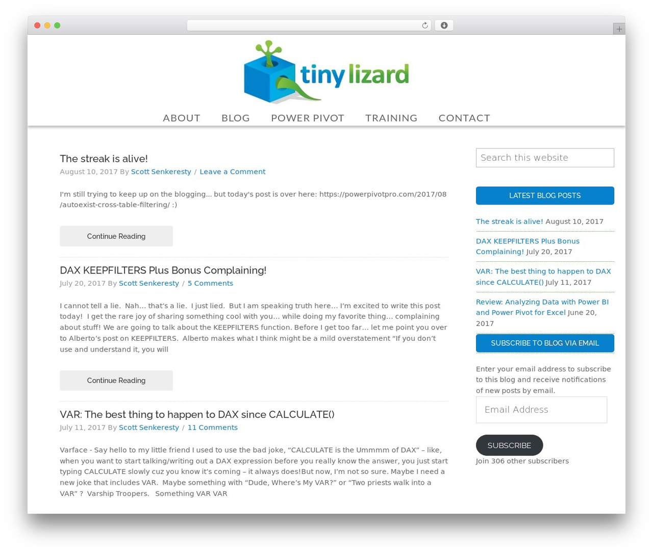 Beautiful Pro Theme WordPress theme - tinylizard.com