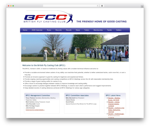 Extended analytics WordPress plugin - thebfcc.co.uk