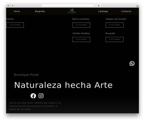 Ova brw WordPress plugin - octaviogil.com.mx