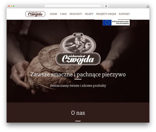 Mobius WordPress theme - czwojda.pl