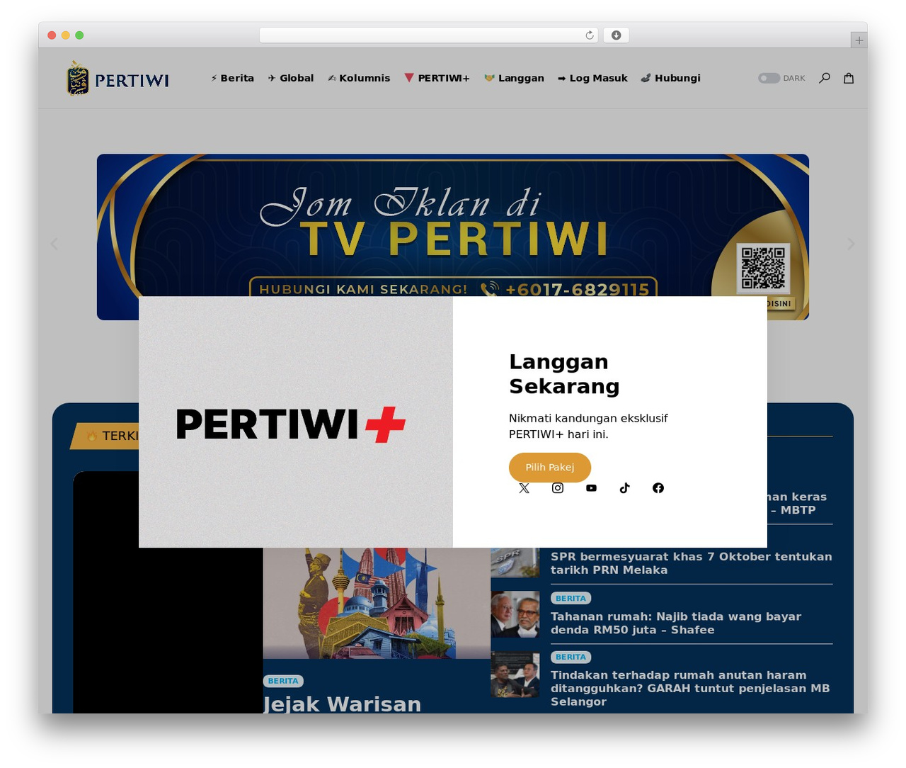 Networker WordPress theme - tvpertiwi.com