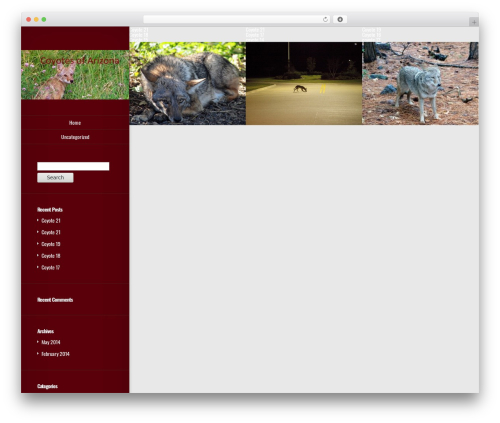 Origin theme WordPress free - thearizonacoyotes.com