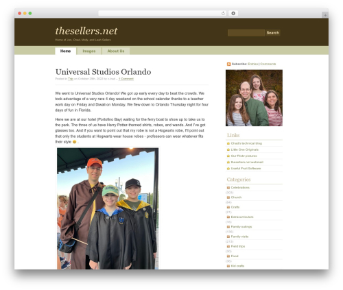 simpleX WordPress theme - thesellers.net