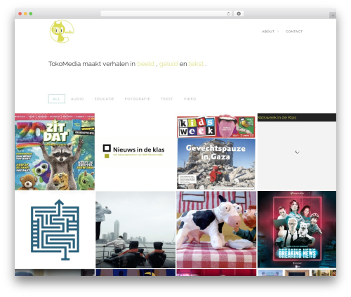 Themewich shortcodes WordPress plugin - tokomedia.nl