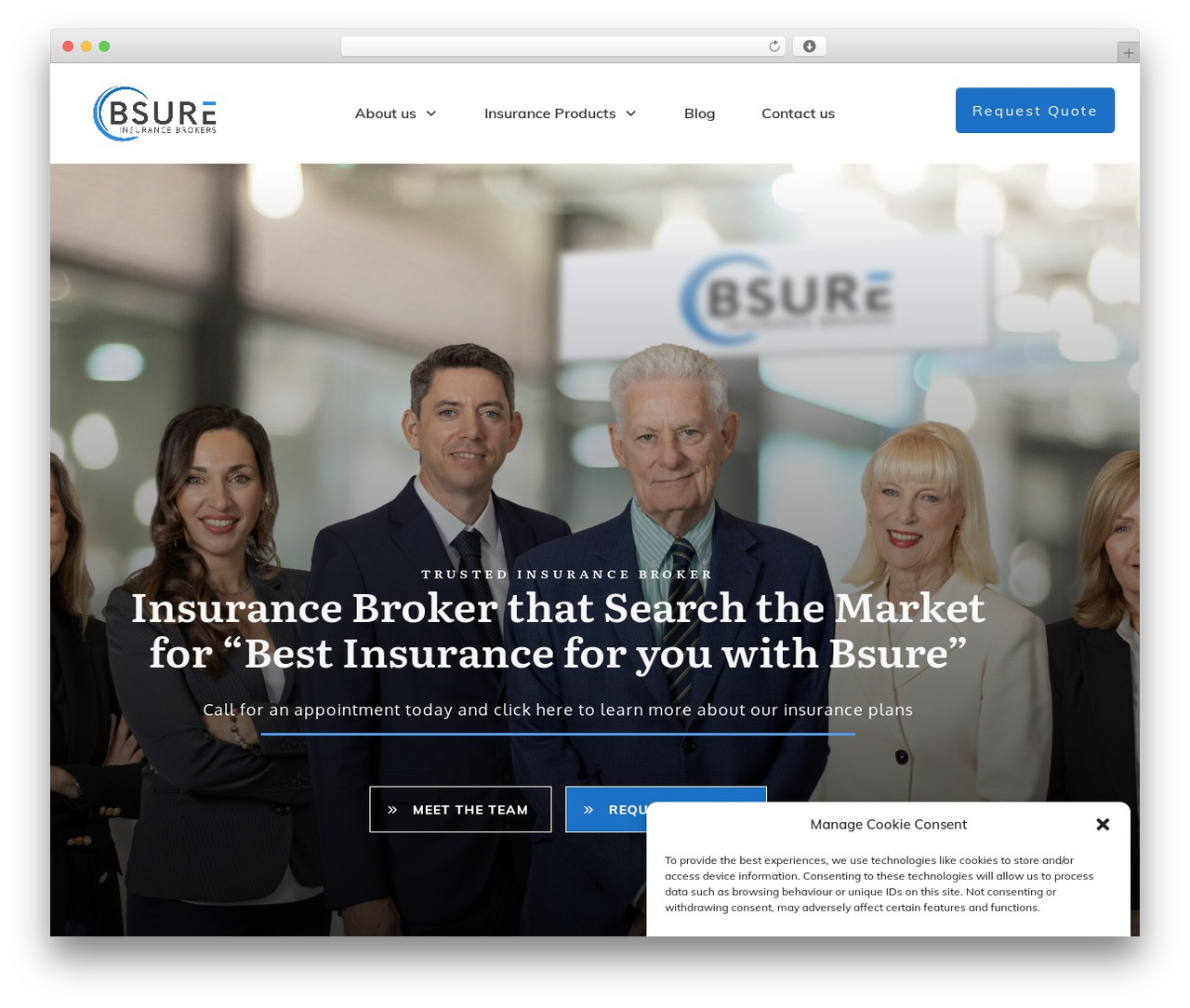 Thrive Theme Builder WordPress theme - bsureinsurance.com