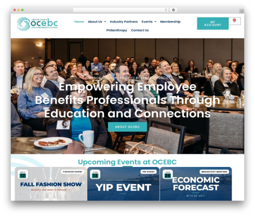 WordPress theme Hello Elementor - ocebc.org
