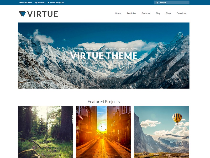 WordPress template Virtue – Child
