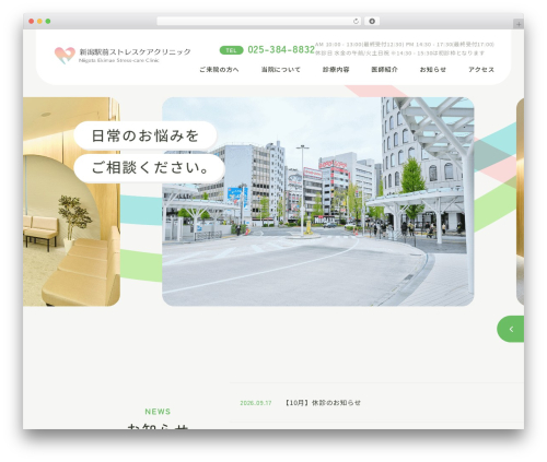 末広橋病院サテライトクリニック theme WordPress - niigataekimae-stresscare.com