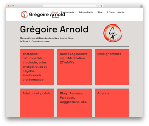 Exclusive divi WordPress plugin - gregoirearnold.ch
